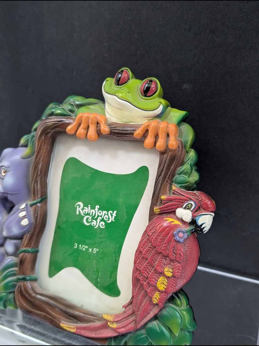 RAINFOREST Colorful Rainforest Animal Photo Frame - Green/Red/Purple